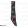 Fascia massonica – Rito Cerneau – 9° grado