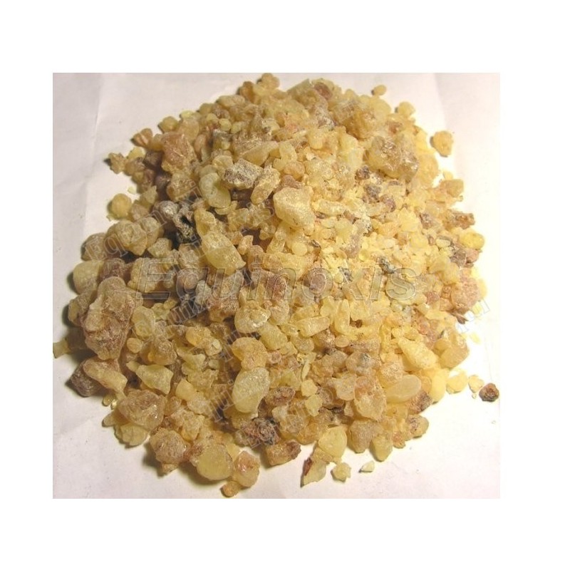 Mastice – 75 g